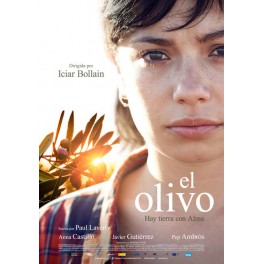 El olivo