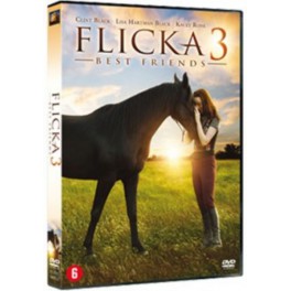 FLICKA 3