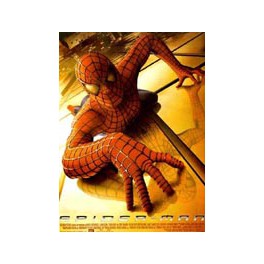 Spider-man (DVD)