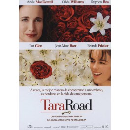 Tara Road (DVD)