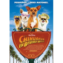 Un chihuahua en Beverly Hills